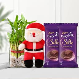 Christmas Bounty Chocolate n Plant Treat 1