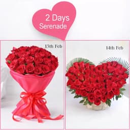 Exquisite Red Roses 2 Days Serenade Gift 1