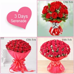Mesmerizing 3 Days Serenade Gift Combo 1