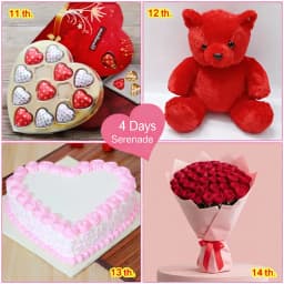 Arresting 4 Days Serenade Love Gift Combo 1