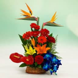 Exclusive Mixed Color Flowers Basket 1
