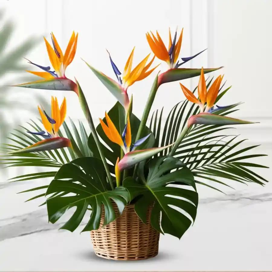 Exotic Bird Paradise Basket