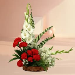 Vibrant Crimson and Snowy White Blossom Ensemble 1