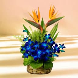 Exotic Orchid Paradise Gift Basket 1