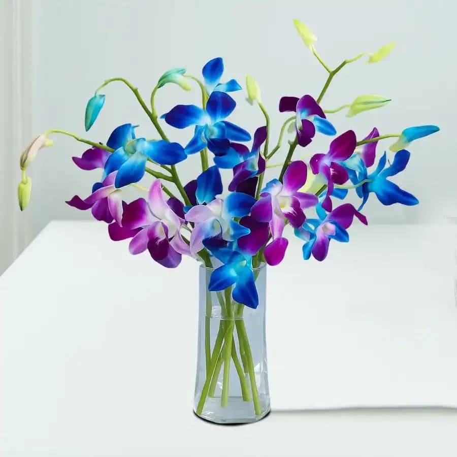 Majestic Orchid Display in Crystal Serenity