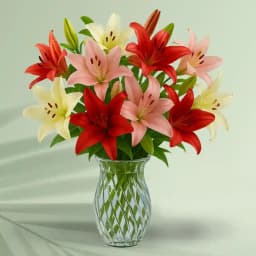 Radiant Lily Collection 1