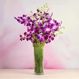 Elegance in Bloom: Purple Orchid Delight 1