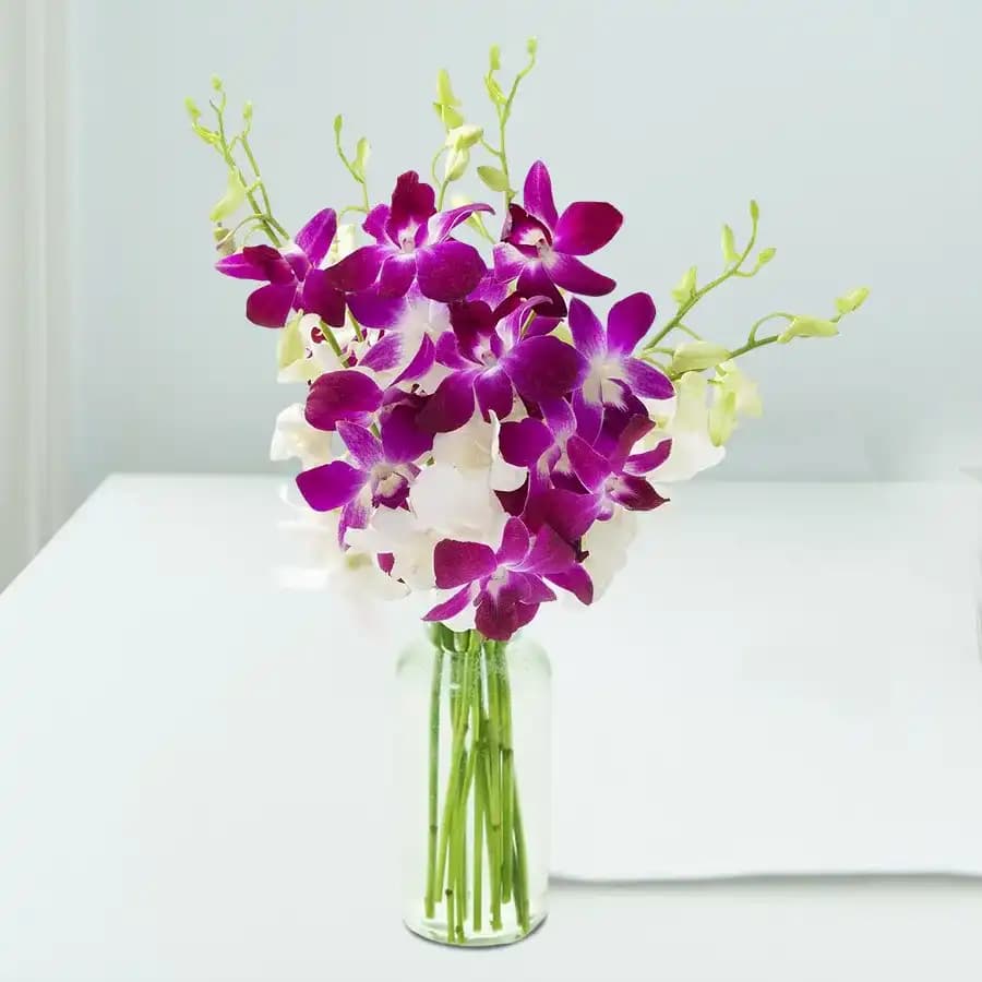 Elegant Orchid Duo in Crystal Elegance