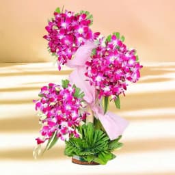 Luxurious 100 Purple Orchid Floral Display 1