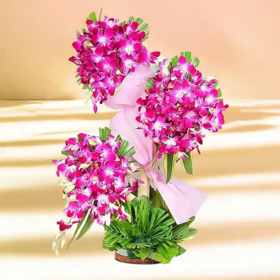 Luxurious 100 Purple Orchid Floral Display