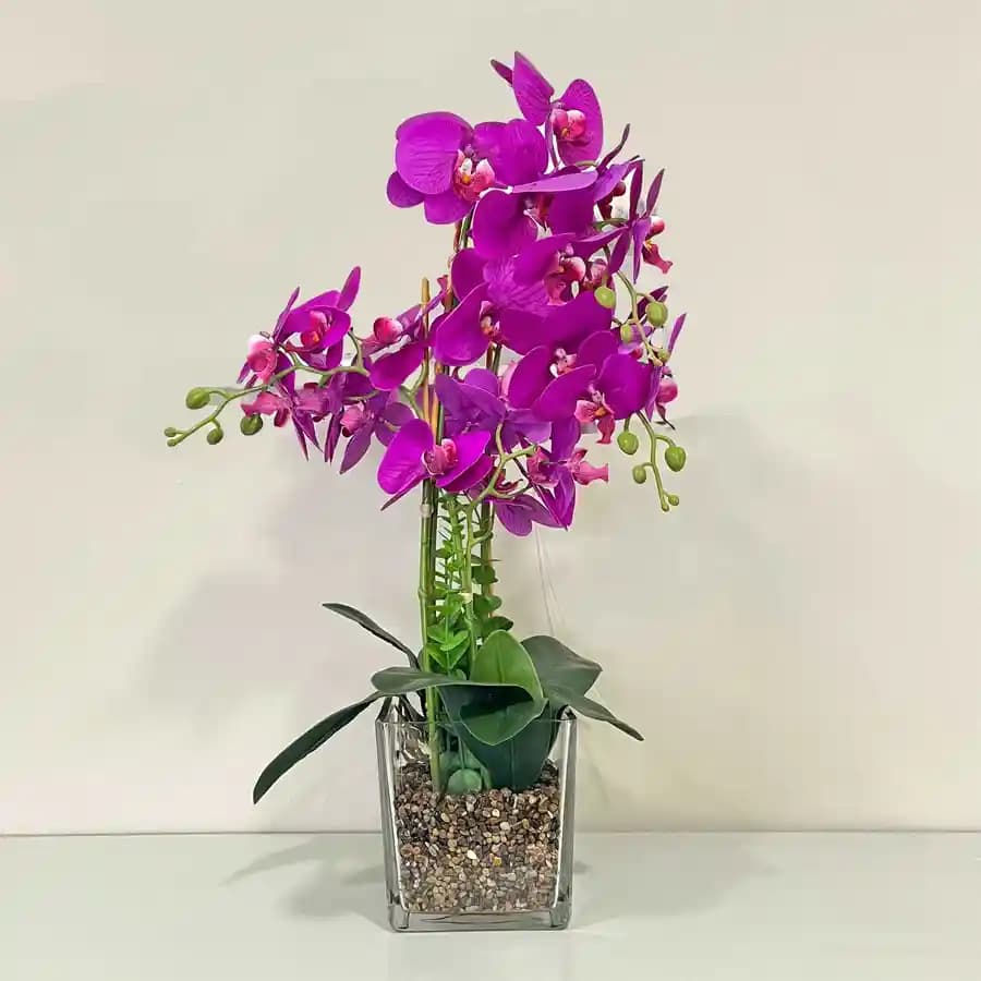 Charming Pink Orchid Arrangement in Glass