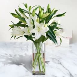 Clam N Comfort White Asiatic Lily in Vase 1