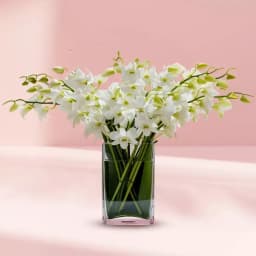 Soothing White Orchids Vase Arrangement 1