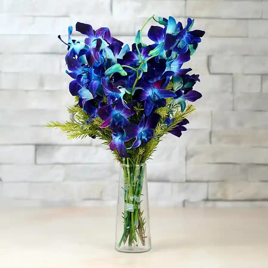 Vibrant Blue Orchids Arrangement