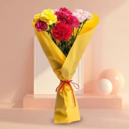 Long Stem Mixed Carnations Bunch 1