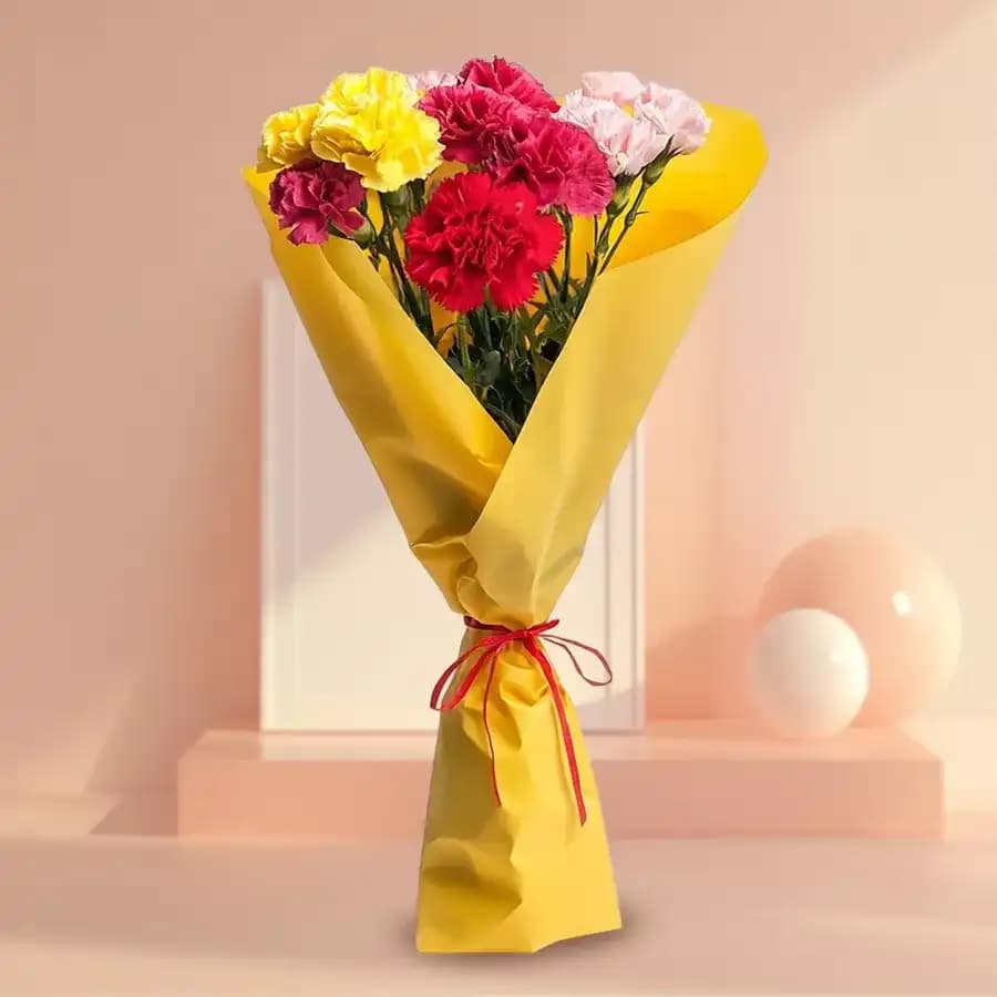 Long Stem Mixed Carnations Bunch