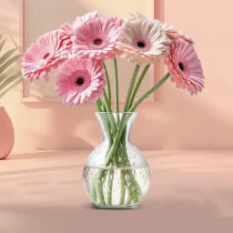 Fresh Bunch of Pink Gerberas 1