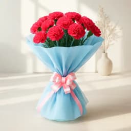 Special Bunch of Pink Carnations 1