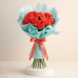 Attractive Red Color Carnations Bouquet 1