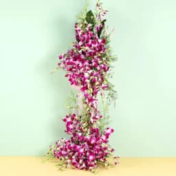 Attractive Orchids Arrangement 1
