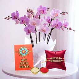 Radiant Orchid Arrangement with Rakhi 1