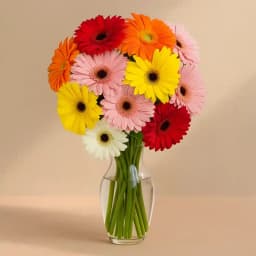 Amazing Gerberas Assemblage in a Vase 1