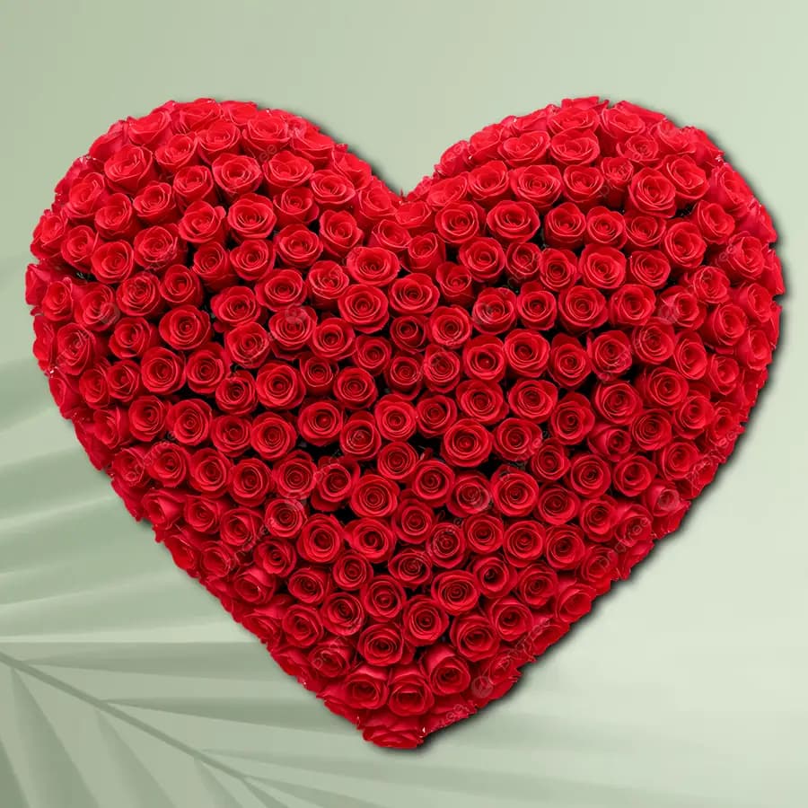 Admirable Heart Shape Arrangement of 200 Red Roses