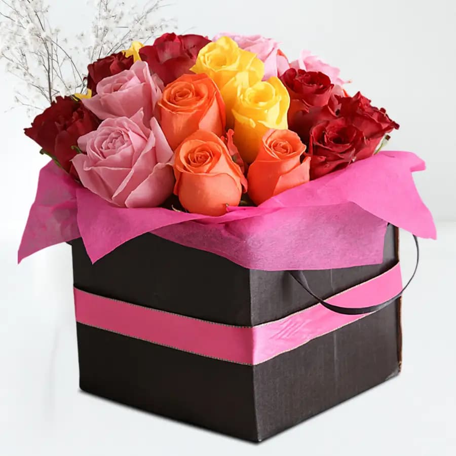 Amazing Rose Day Special Gift Box of Mixed Dutch Roses