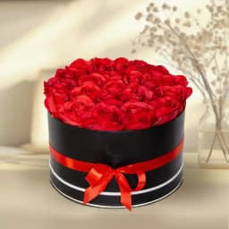 Alluring Red Roses in Black Cardboard Gift Box 1
