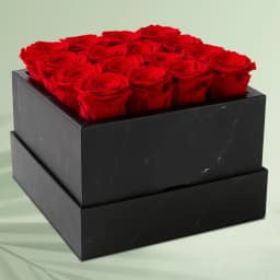 Remarkable Bed of Red Roses in a Box 1