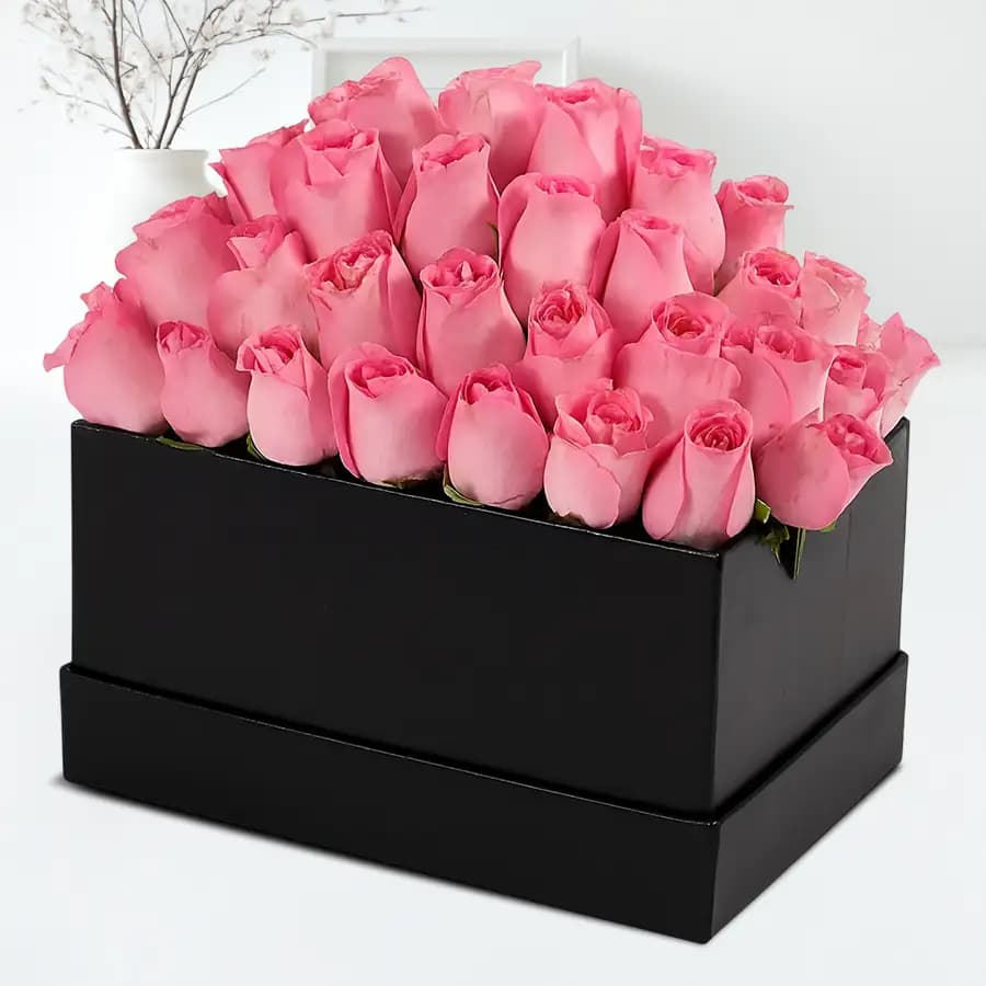 Passionate Pink Roses in Black Cardboard Gift Box