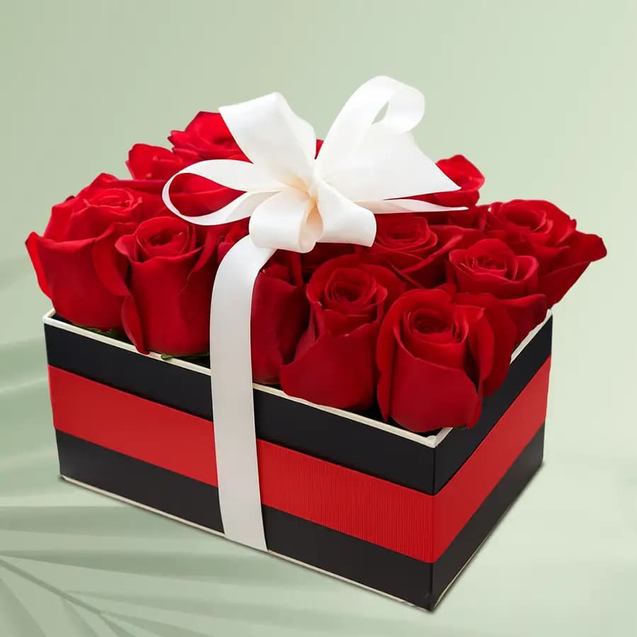 Mesmerizing Red Roses Box Tied with White Ribbon
