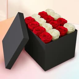 Attractive Square Box of Red n White Roses 1