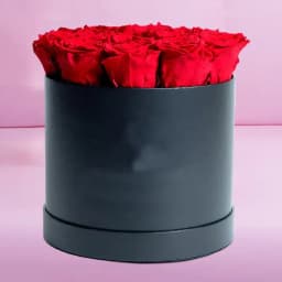 Exquisite Epitome of Love 1