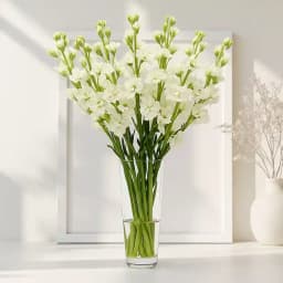 Captivating Arrangement of White Rajniganda Sticks in a Glass Vase 1