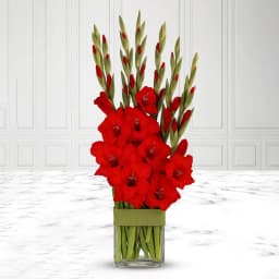 Mesmerizing Red Gladiolus in a Glass Vase 1