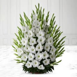 Elegant Basket Full of White Gladiolus 1