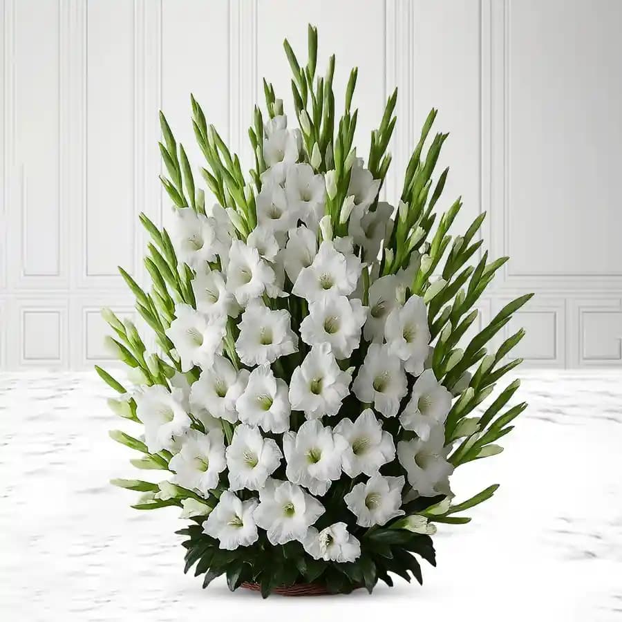 Elegant Basket Full of White Gladiolus