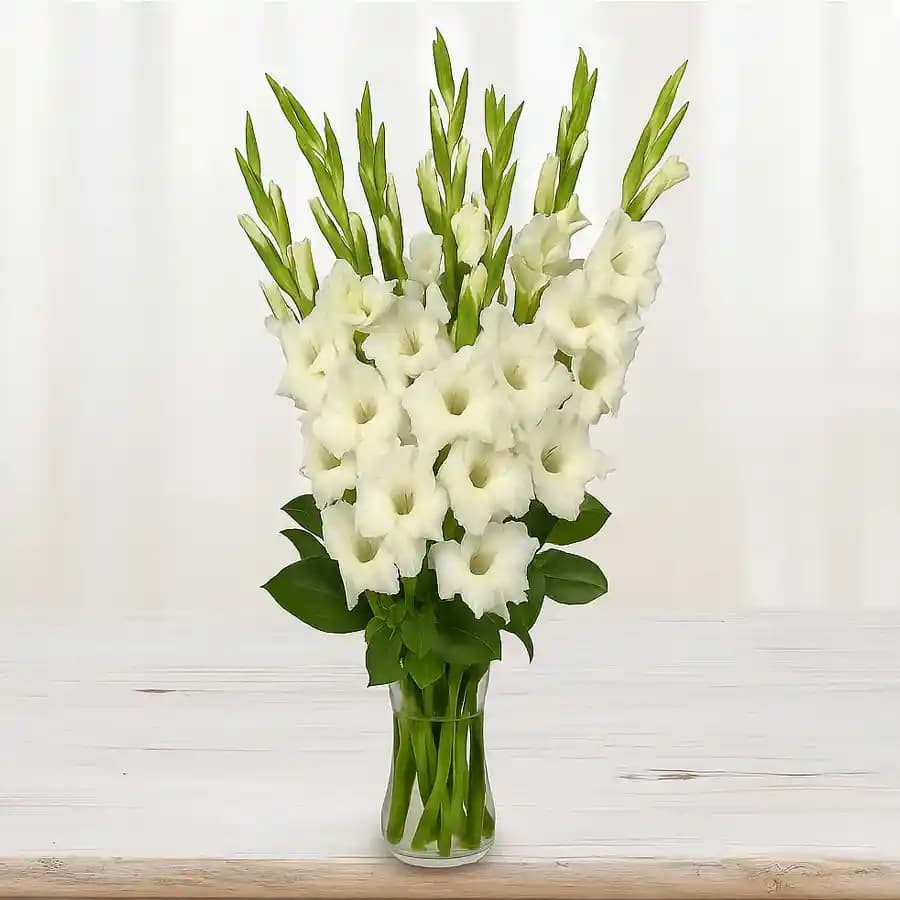 Artistic Display of White Gladiolus in a Glass Vase