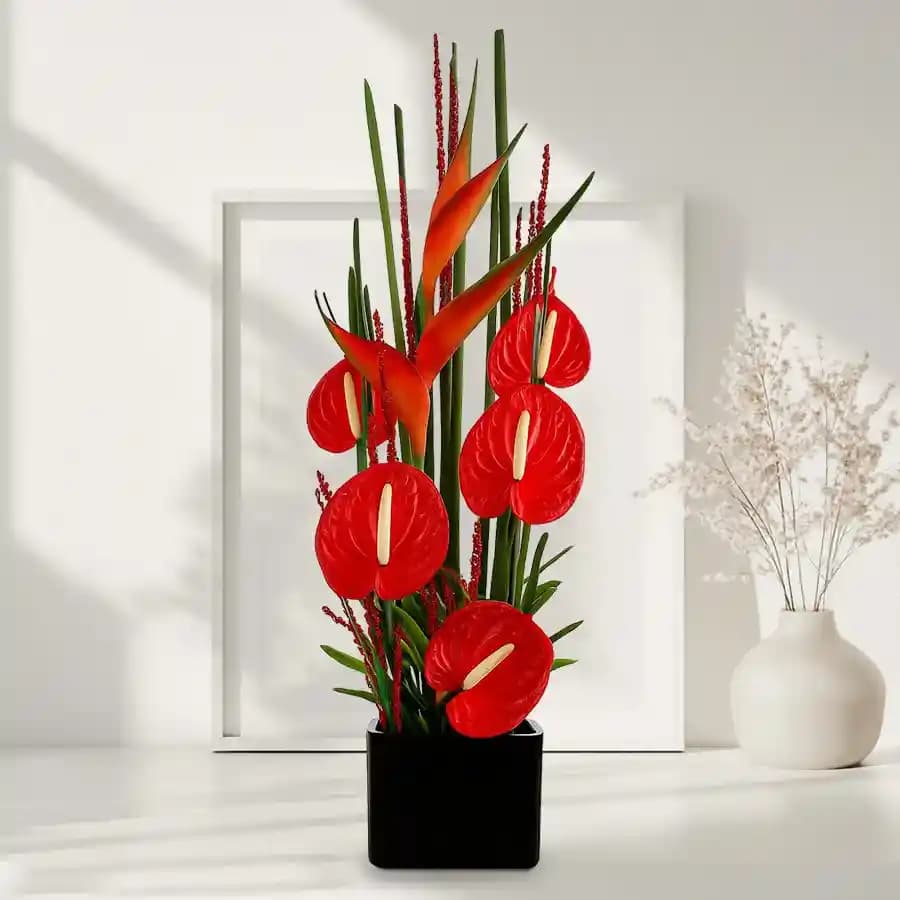 Exclusive Arrangement of Red Anthurium with BOP in Black Box