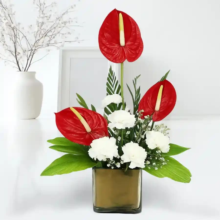 Remarkable Arrangement of Anthuriums n Carnations in Glass Vase