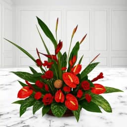 Breathtaking Anthurium n BOP Arrangement 1