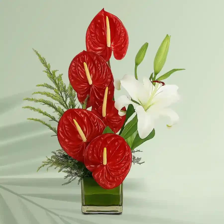 Exotic Anthurium n Lilies in a Glass Vase