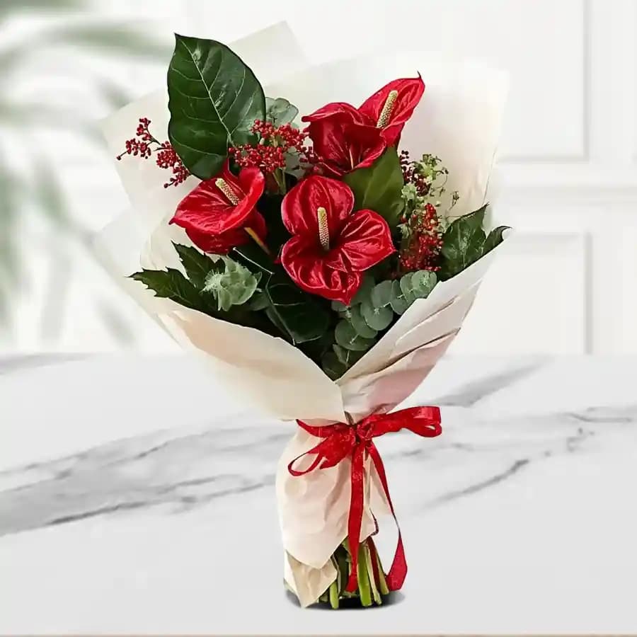 Beautiful Bouquet of Red Anthodium with Tissue Wrap