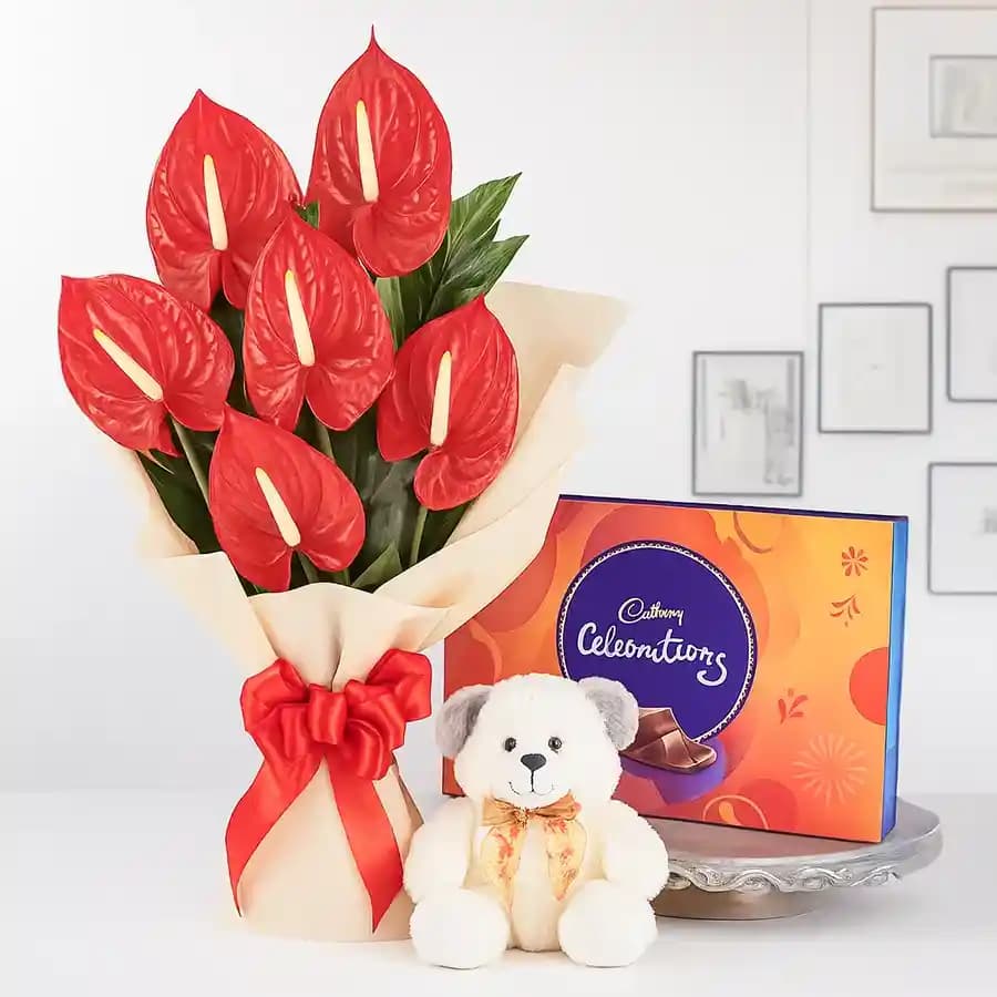 Wonderful Anthodium Bouquet Chocolates n Teddy Gift Combo