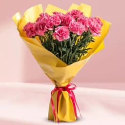 Lovely Bouquet of Pink Carnations 1
