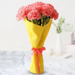Lovely Bouquet of Pink Carnations 1