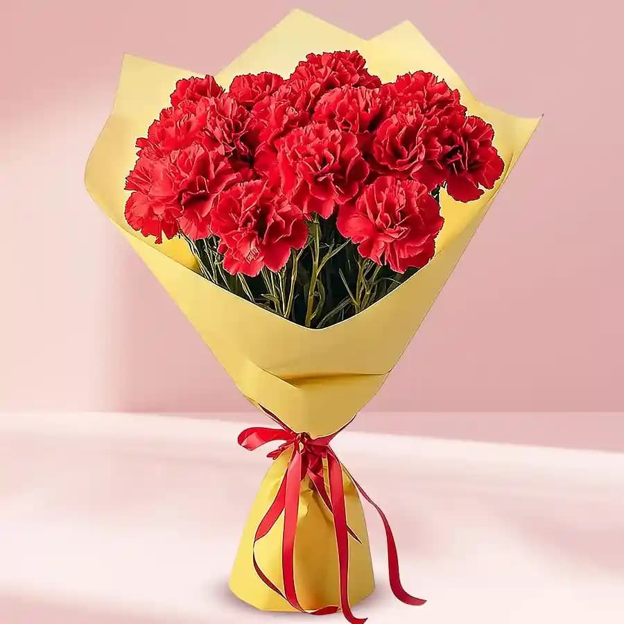 Exquisite Bouquet of Red Carnations