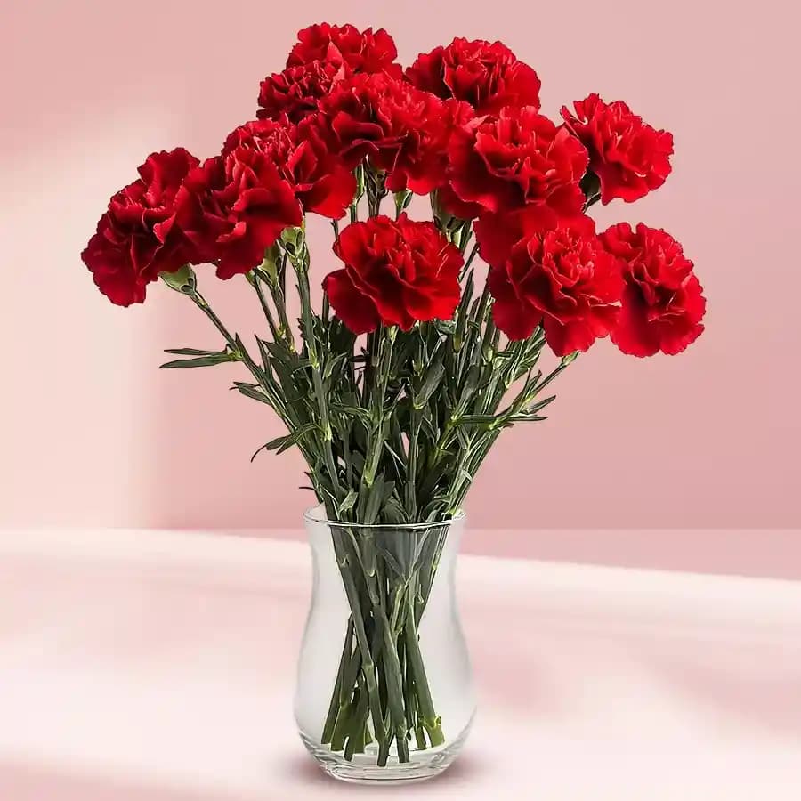 Red Carnations in Glass Vase