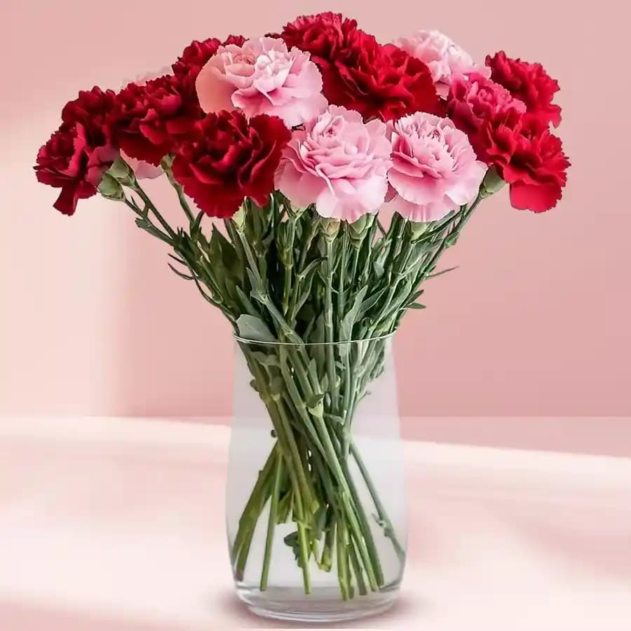 Lovely Pink N Red Carnations in Vase